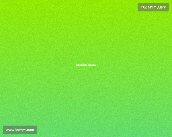 中国小型赛事搏击,国内搏击比赛